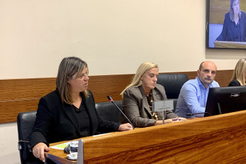 La vicepresidenta del Gobierno asturiano, Gimena Llamedo, y la diputada del PP Susana Fernández Arias durante la comisión parlamentaria en la Junta General.
