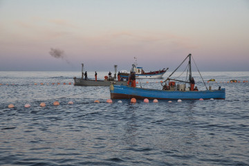 Varios pescadores durante la ‘levantá’ del atún en las inmediaciones de Barbate, a 27 de mayo de 2025, en Barbate, Cádiz, Andalucía (España).