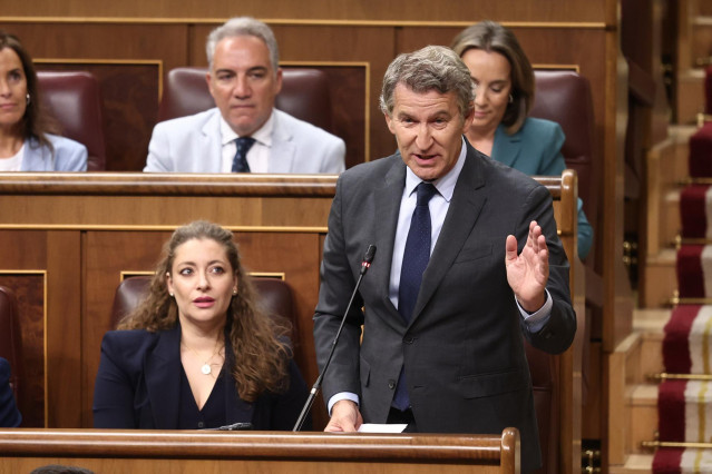 El presidente del PP, Alberto Núñez Feijóo, interviene durante una sesión de control al Gobierno en el Congreso