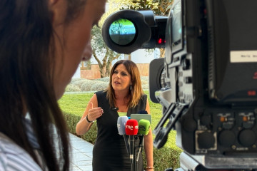 La portavoz adjunta del Grupo Socialista en el Parlamento andaluz, Ángeles Férriz, en una atención a medios. (Foto de archivo).