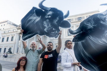 Los firmantes de la ILP 'No es mi cultura', que propone la derogación de la tauromaquia como patrimonio cultural, se concentran frente al Congreso de los Diputados.