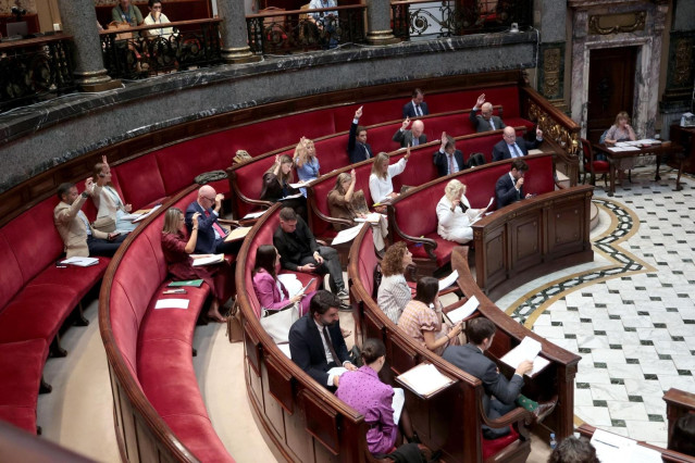 Imagen del pleno ordinario de septiembre de 2025 del Ayuntamiento de València.