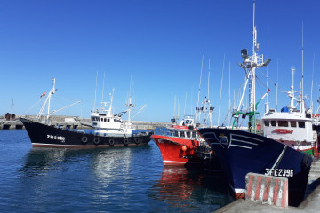 Archivo - Barcos pesqueros en el puerto de Bermeo (Bizkaia)