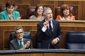 El ministro de Interio, Fernando Grande-Marlaska, durante una sesión de control al Gobierno, en el Congreso