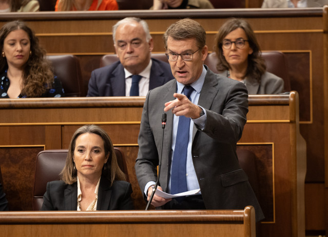 Archivo - El presidente del PP, Alberto Núñez Feijóo.