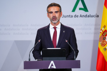 El consejero de Agricultura, Pesca, Agua y Desarrollo Rural, Ramón Fernández-Pacheco. Imagen de archivo.