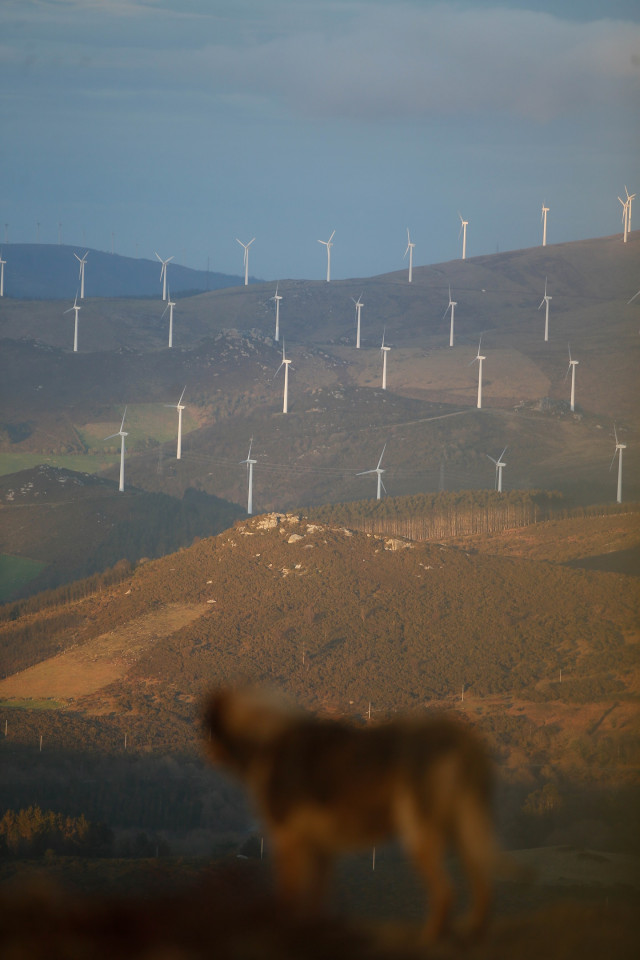 Archivo - Un parque eólico, a 28 de marzo de 2025, en Muras, Lugo, Galicia (España). El Tribunal Supremo ha dictado una sentencia que despeja el futuro de muchos proyectos de la industria eólica en Galicia. El hecho de que dos o más instalaciones de parqu