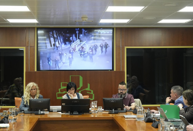 Novoa ha comparecido ante la Comisión de Instituciones, Gobernanza Pública y Seguridad