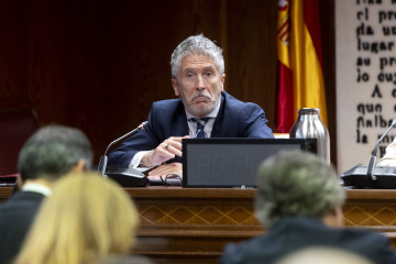 Archivo - El ministro del Interior, Fernando Grande-Marlaska, comparece en una comisión.