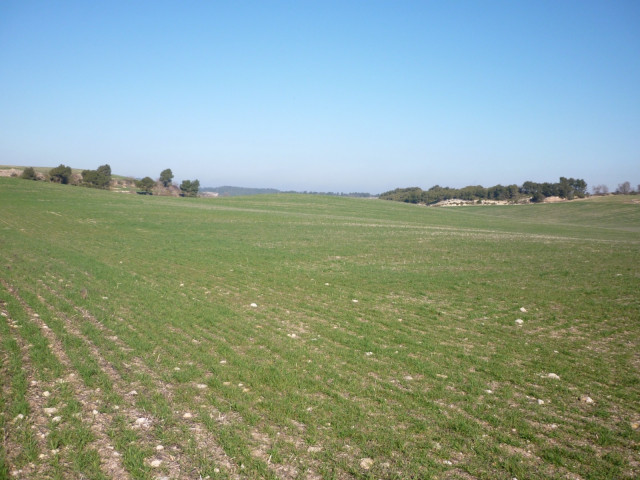 Archivo - Campo