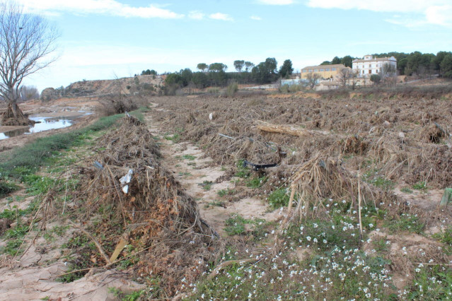 Daños dana en el campo