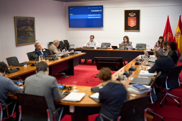 Comisión de investigación en el Parlamento de Navarra este martes.