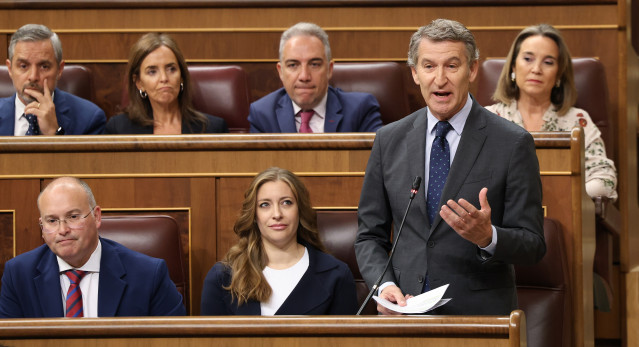 El presidente del PP, Alberto Núñez Feijóo, durante una sesión de control al Gobierno, en el Congreso.