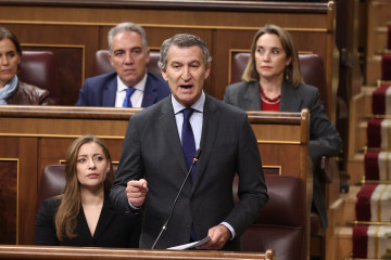 El presidente del PP, Alberto Núñez Feijo y la portavoz del grupo popular en el Congreso, Ester Muñoz, durante una sesión de control, en el Congreso de los Diputados, a 29 de octubre de 2025, en M