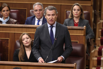 El presidente del PP, Alberto Núñez Feijo y la portavoz del grupo popular en el Congreso, Ester Muñoz, durante una sesión de control, en el Congreso de los Diputados, a 29 de octubre de 2025, en M