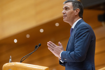 Archivo - El presidente del Gobierno Pedro Sánchez, interviene durante la sesión extraordinaria del Congreso, en el Palacio del Senado, a 18 de enero de 2024, en Madrid (España).