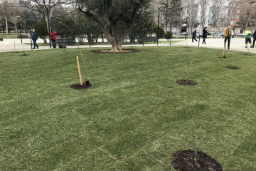 Archivo - Jardín de la Paz, en el Parque de La Aljafería.