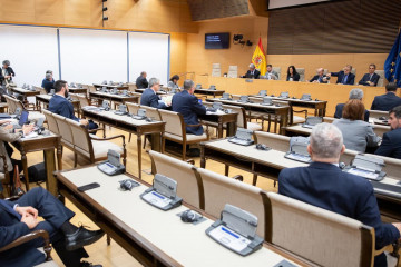 Diego Rubio, director de Gabinete de Presidencia del Gobierno, compareciendo ante la Comisión Mixta