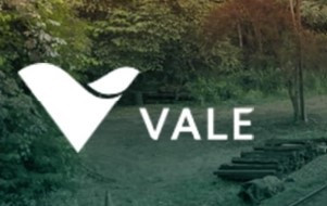 Archivo - La brasileña Vale.