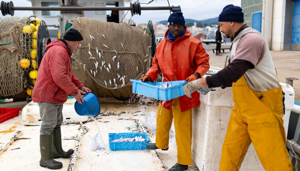 Archivo - Varias personas trabajan en el Puerto de Arenys