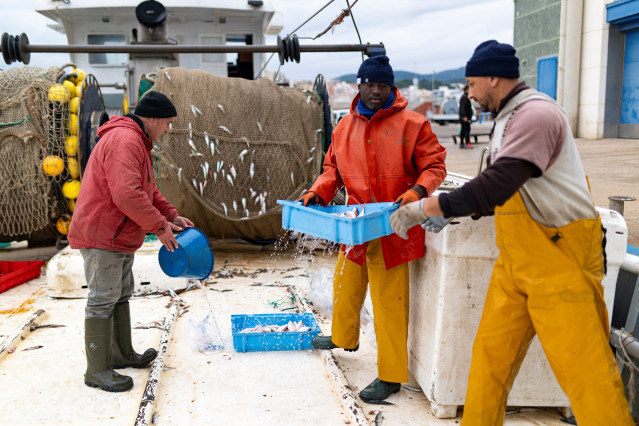 Archivo - Varias personas trabajan en el Puerto de Arenys