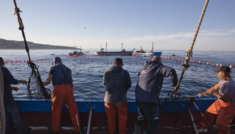 Archivo - Varios pescadores faenando
