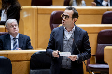 El ministro de Economía, Comercio y Empresa, Carlos Cuerpo, interviene durante una sesión plenaria