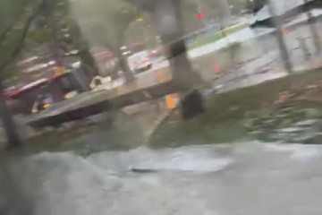 WhatsApp Video 2025 11 06 at 09.13.25