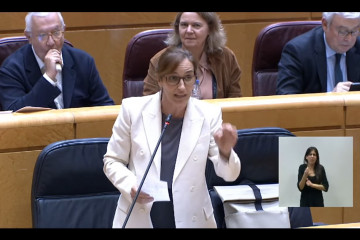 El secretario general del PP en el Senado, Javier Arenas, con un váper desde su escaño.