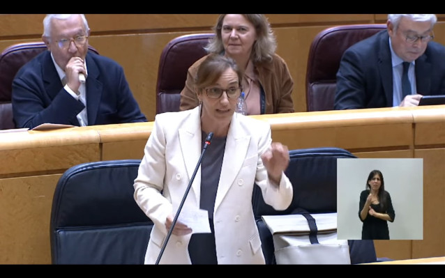 El secretario general del PP en el Senado, Javier Arenas, con un váper desde su escaño.
