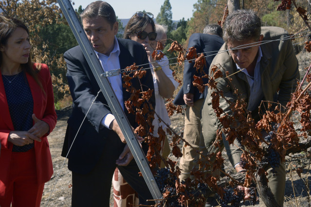 Archivo - El ministro de Agricultura, Pesca y Alimentación, Luis Planas (c), visita explotaciones de las zonas afectadas por los grandes incendios de este verano, en A Rúa, Ourense, Galicia (España).