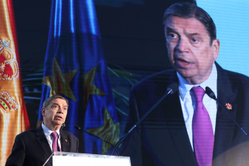 El ministro de Agricultura, Pesca y Alimentación, Luis Planas.