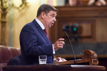 Archivo - El ministro de Agricultura, Pesca y Alimentación, Luis Planas.