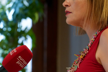 Archivo - La delegada del Gobierno en la Comunidad Valenciana y secretaria de Igualdad del PSOE, Pilar Bernabé.-ARCHIVO