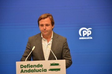 El secretario general del PP-A, Antonio Repullo, en una imagen de archivo.