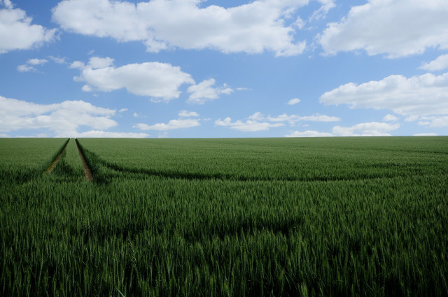 Agricultura abona el anticipo de la PAC más rápido de la historia, con más de 217 millones de euros.