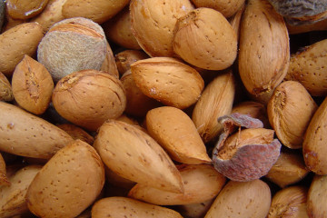 Archivo - Almendras