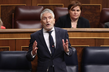 El ministro del Interior, Fernando Grande-Marlaska, durante una sesión de control al Gobierno, en el Congreso de los Diputados