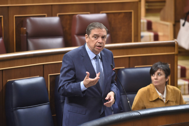 El ministro de Agricultura, Pesca y Alimentación, Luis Planas, durante una sesión de control al Gobierno, en el Congreso de los Diputados,