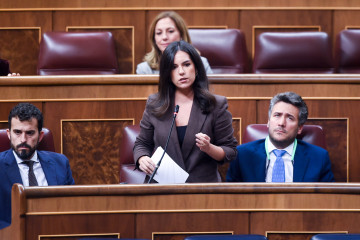 La portavoz de Vox en el Congreso, Pepa Millán, durante una sesión de control al Gobierno, en el Congreso de los Diputados, a 12 de noviembre de 2025, en Madrid (España).