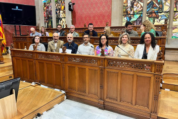 La bancada socialista en el Consell de Mallorca.