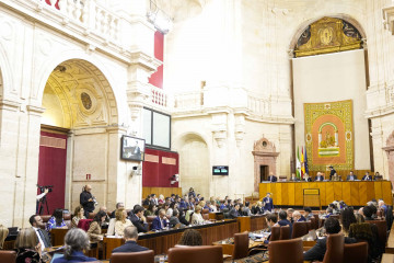El Pleno del Parlamento andaluz durante su sesión de este jueves, 13 de noviembre de 2025.