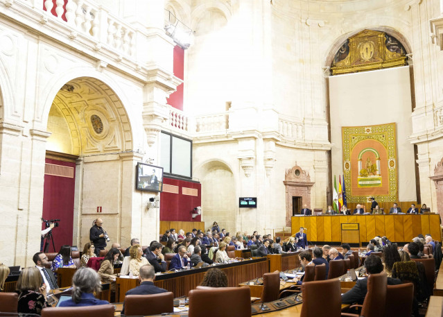 El Pleno del Parlamento andaluz durante su sesión de este jueves, 13 de noviembre de 2025.