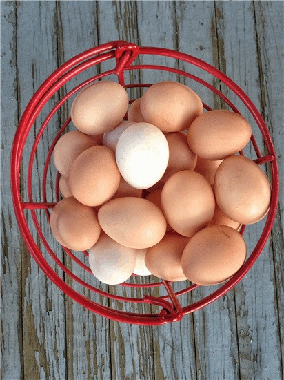 La cárnica brasileña JBS alcanza un acuerdo vinculante para adquirir la estadounidense Hickman's Egg Ranch.