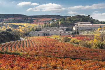 Archivo - Bodega Marqués de Murrieta