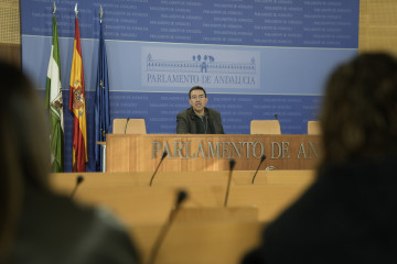 El portavoz de Presidencia del PSOE-A, Mario Jiménez, este martes