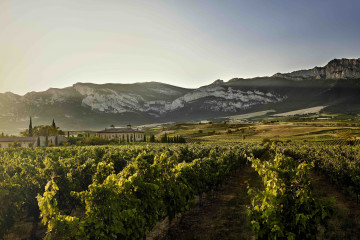 Viñedos Asociacion Bodegas por la Calidad de Rioja -Torre de Oña