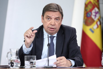Archivo - El ministro de Agricultura, Pesca y Alimentación en funciones, Luis Planas