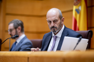 El presidente del Senado, Pedro Rollán, durante una sesión plenaria, a 4 de noviembre de 2025, en Madrid (España).