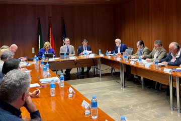 El consejero de Agricultura, Pesca, Agua y Desarrollo Rural, Ramón Fernández- Pacheco, en la reunión de la Mesa de Interlocución Pesquera y Acuícola, celebrada en Sevilla con los representantes d